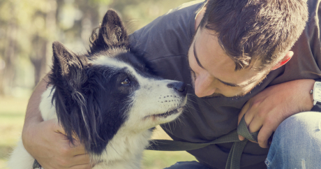 5 Ways To Improve The Health Of Your Animal